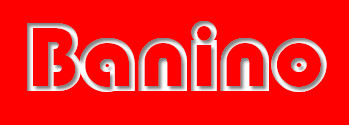 BNN